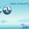 MySQL and MariaDB Integration v4.1 UE5.5