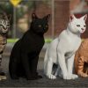 Animalia - Domestic Cat