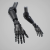 Cybernetic Arms