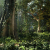 Rain Forest Pack v1.2 UE5