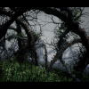MalformedForest