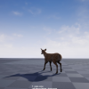 Survival Combat and AI
