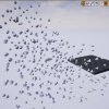Flocking Behaviour System v1.4.4 UE4.27+UE5
