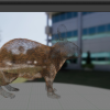 Rabbit with groom asset