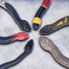 Animated Snakes Volume 5