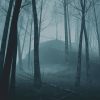 Horror Forest