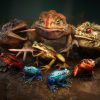 Frogs pack