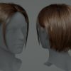 Hairstyles Pack: Female v02