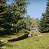 Maxtree – Plant Models Vol. 67 (NEW)