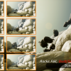 Rock Fall Niagara with Sound