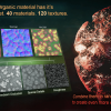 Creepy Organics UE4.2X
