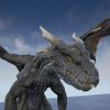 Mountain Dragon