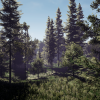 European Forest