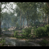 Forest Environment