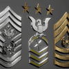 3D Military Insignia Set