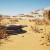 [WANYI Graphics] The Kubuqi Desert - 3D Scans Asset Pack