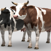 Cow