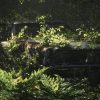 Udemy - Realistic Natural Environments in Unreal Engine 5
