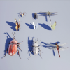 Japanese Insect Pack