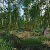 Bamboo Plants Pack
