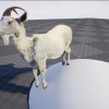 Goat with groom