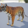Medhue Tiger