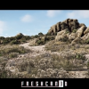 Shrubland Environment