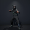 Samurai Ninja