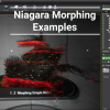 Niagara Morphing Examples