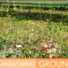 Landscaping Ground 1
