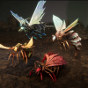 Wasps pack