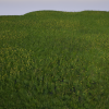 Field Grass Package Vol 1