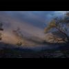 The Gnomon Workshop - Creating a Swamp Scene for Games with SpeedTree & Photogrammetry