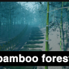 Bamboo Forest
