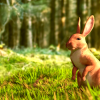 Realistic Rabbit