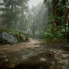 Redwood Forest