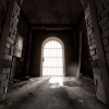 Root Cellar