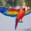 Medhue Parrot