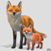 Fox - Family