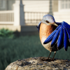 Animalia - Bluebird