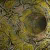 Alien Surface Pack of 8 Materials
