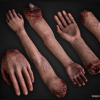 Human Remains Bones and Organs (Rigged)