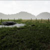 Realistic Grass SV 02 Master Grass