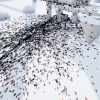 Advanced Insects System – Realistic Multithreaded Insect Simulation v2.0.0 UE5.6