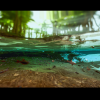 Animal Particle FX