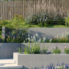 Maxtree – Plant Models Vol. 111
