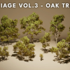 Foliage VOL.3 - Oak Trees (Nanite and Low Poly)
