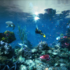 Underwater_BlueprintV3