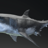MEGALODON - Sea Monster Series 5