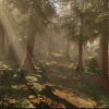 Fantasy Forest - Forest Environment